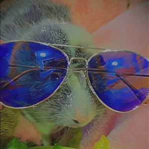 Meet your Posher, Grace